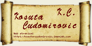 Košuta Čudomirović vizit kartica